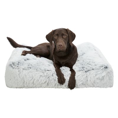 CAMA PARA CÃO