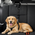 Cinturón de seguridad ajustable para perros